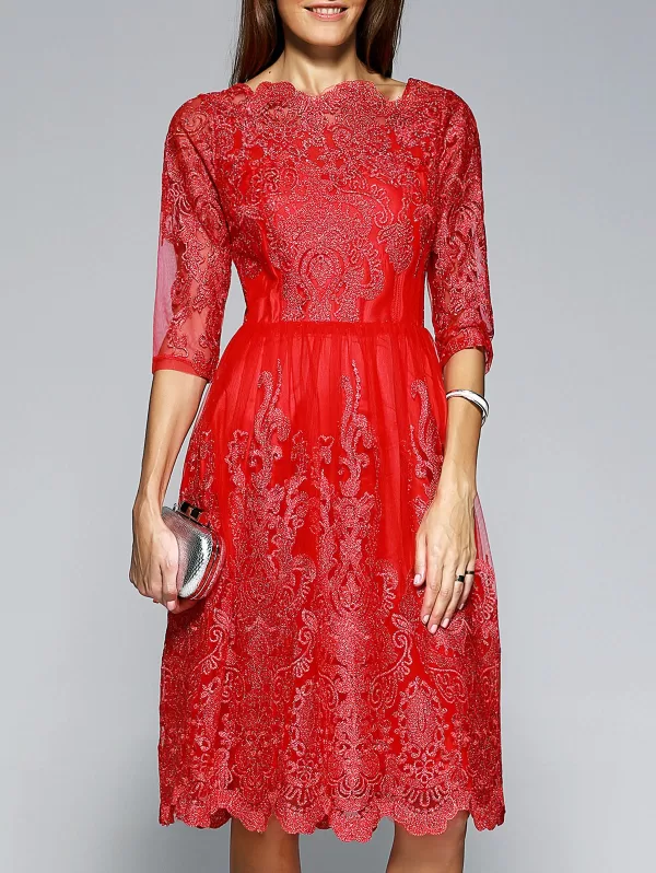 Ornate Laciness Mesh Dress For Women